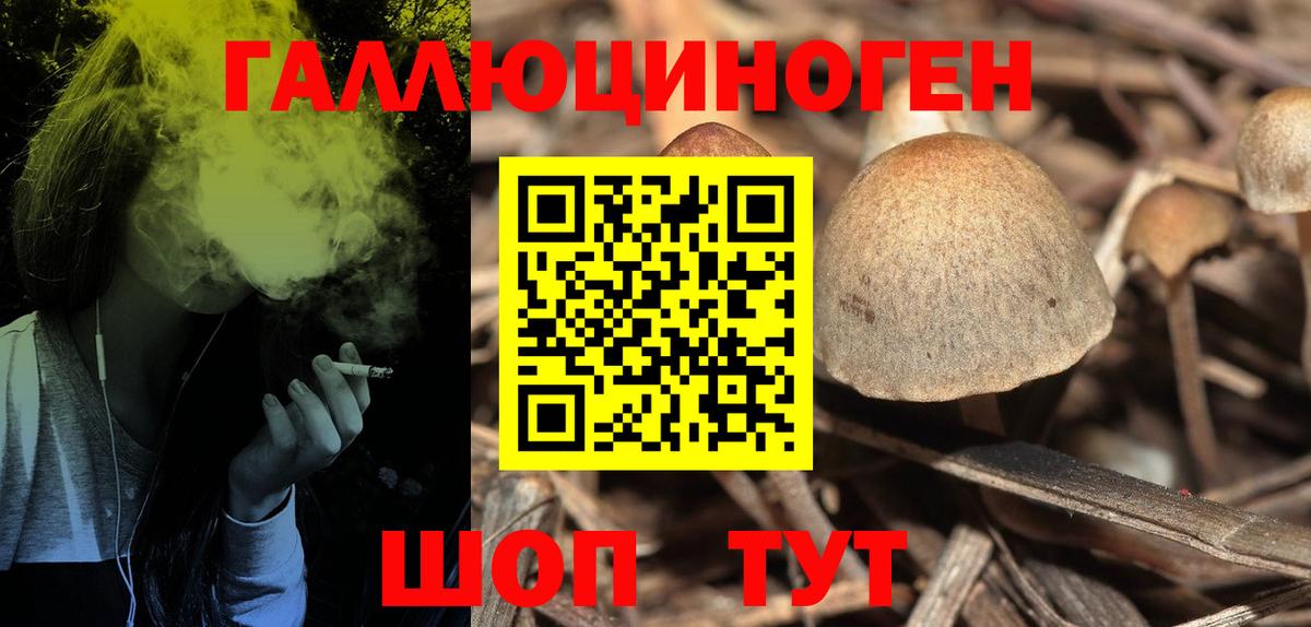 Галлюциногенные грибы мицелий  Псилоцибиновые грибы Cubensis  Вход с VPN  Верхний Уфалей 